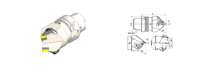 HSK T63 DCM12DDM15