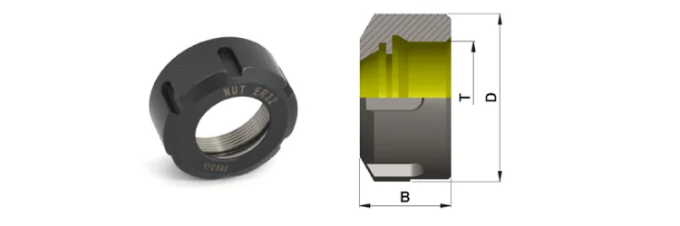 Slotted Nut